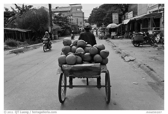 Cyclo carrying coconuts, Duong Dong. Phu Quoc Island, Vietnam (black and white)