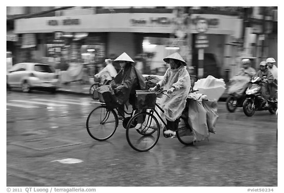 Women riding bicyles in the rain. Ho Chi Minh City, Vietnam (black and white)