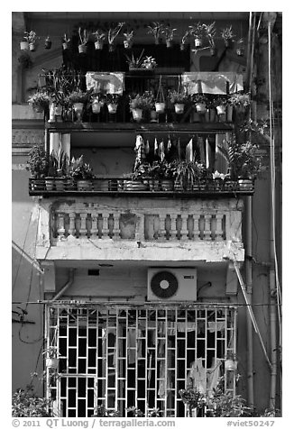 Windows with potted plants and laundry. Ho Chi Minh City, Vietnam (black and white)