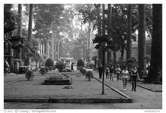 People strolling in alley below tall trees, Cong Vien Van Hoa Park. Ho Chi Minh City, Vietnam