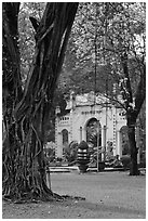 Banyan tree and gate, Cong Vien Van Hoa Park. Ho Chi Minh City, Vietnam (black and white)