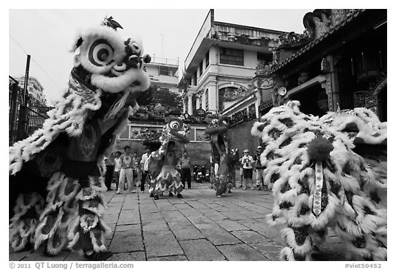 Dragon dance, Thien Hau Pagoda, district 5. Cholon, District 5, Ho Chi Minh City, Vietnam (black and white)