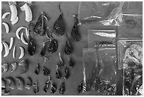 Animal parts used in traditional medicine. Cholon, Ho Chi Minh City, Vietnam (black and white)