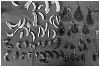 Close-up of animal parts for sale in traditional medicine shop. Cholon, Ho Chi Minh City, Vietnam (black and white)