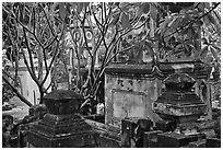 Graveyard, Giac Lam Pagoda, Tan Binh District. Ho Chi Minh City, Vietnam (black and white)