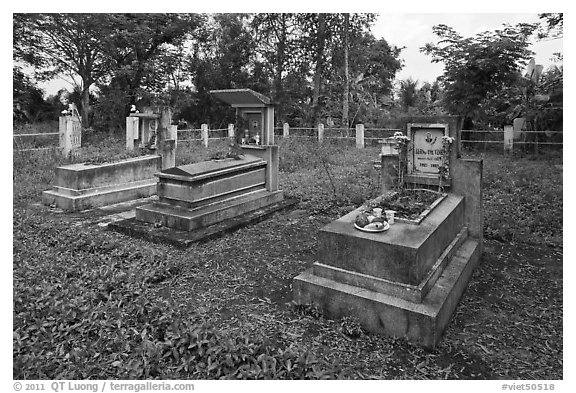 Graves in family cemetery with fresh offerings. Ben Tre, Vietnam (black and white)