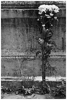 Incense and flowers next to tomb. Ben Tre, Vietnam (black and white)