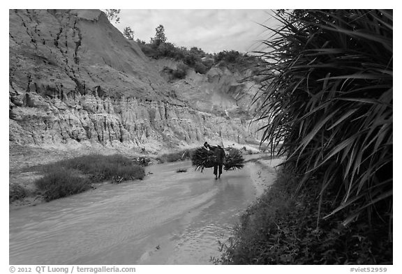 Woman carrying leaves through Fairy Stream. Mui Ne, Vietnam (black and white)