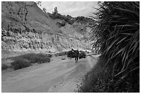 Woman carrying leaves through Fairy Stream. Mui Ne, Vietnam ( black and white)