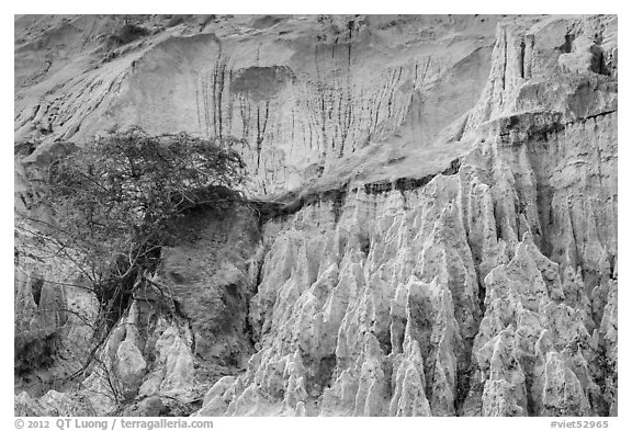 Erosion landscape of sand and sandstone. Mui Ne, Vietnam (black and white)