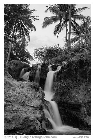 Waterfall flowing under palm trees, Fairy Stream. Mui Ne, Vietnam (black and white)