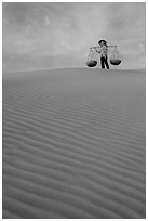 Woman on top of dune field. Mui Ne, Vietnam (black and white)