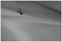 Woman with conical hat and yoke baskets pauses on sand dunes. Mui Ne, Vietnam (black and white)