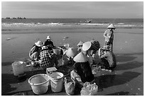 Women on beach sorting fresh catch. Mui Ne, Vietnam (black and white)