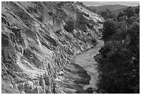 Fairy Stream, red rock, and forest from above. Mui Ne, Vietnam (black and white)