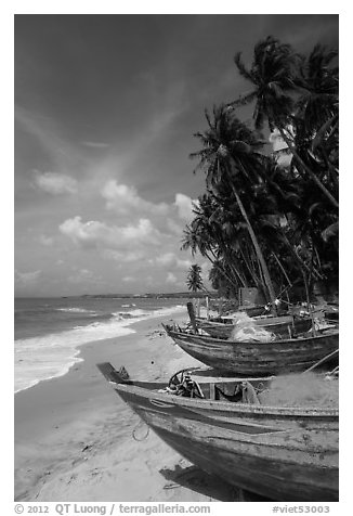 Palm-fringed beach with fishing boats. Mui Ne, Vietnam (black and white)
