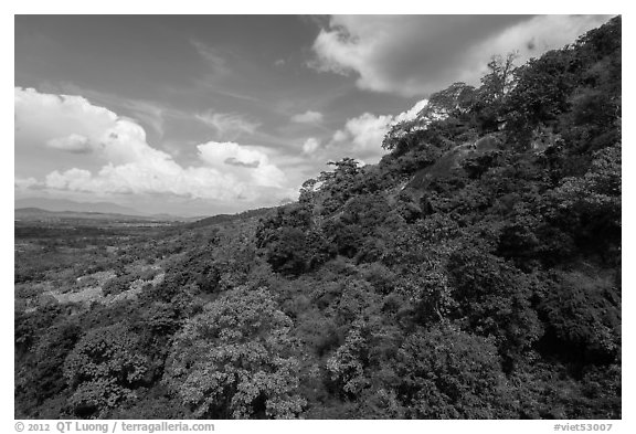 Hillside covered in verdant vegetation. Ta Cu Mountain, Vietnam