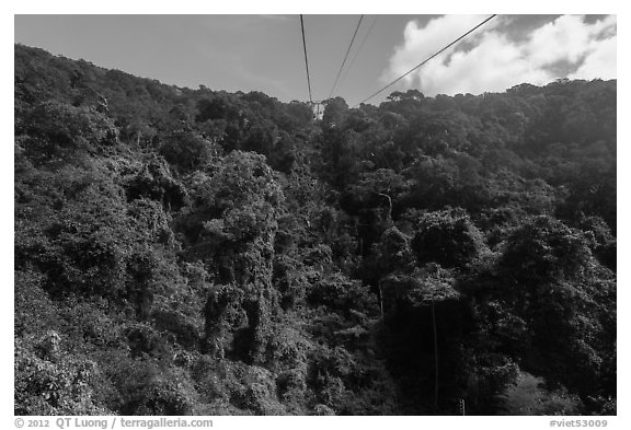 Tropical forest seen from cable car. Ta Cu Mountain, Vietnam (black and white)