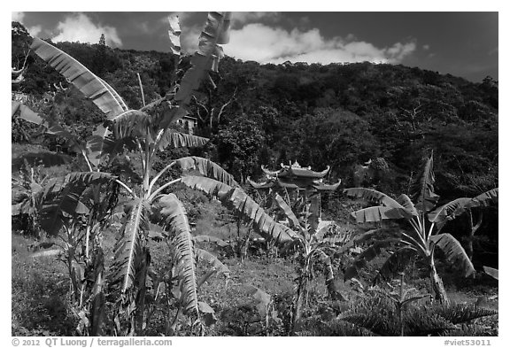 Banana trees, hill, and temple gate. Ta Cu Mountain, Vietnam