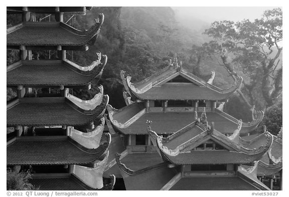 Roofs of temple and pagoda. Ta Cu Mountain, Vietnam (black and white)