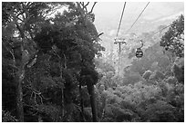 Cable car and tropical forest. Ta Cu Mountain, Vietnam (black and white)
