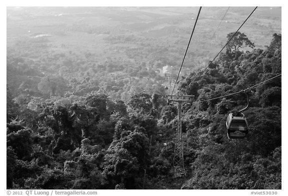 Cable car, tree canopy and plain. Ta Cu Mountain, Vietnam (black and white)