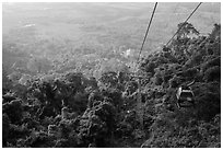 Cable car, tree canopy and plain. Ta Cu Mountain, Vietnam ( black and white)