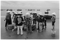 Women gathered on beach around fresh catch. Mui Ne, Vietnam (black and white)