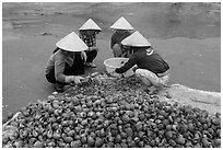 Women crushing shells to extract eddible part. Mui Ne, Vietnam (black and white)