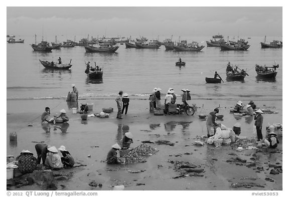 Activity on beach seen from above. Mui Ne, Vietnam