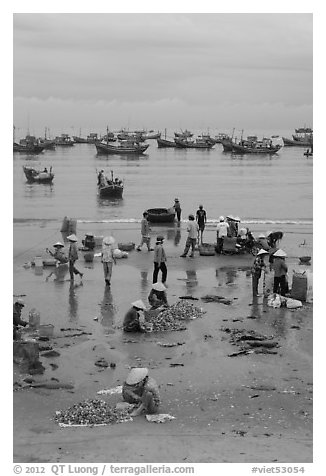 Fishing activity on beach near Lang Chai. Mui Ne, Vietnam