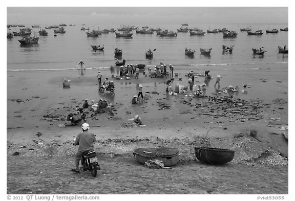 Man on motorbike looks over beach and harbor. Mui Ne, Vietnam