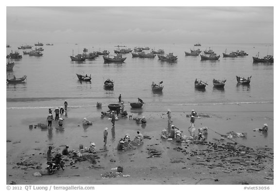 Fishing harbor from above. Mui Ne, Vietnam (black and white)