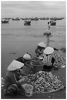 Women process scallops on beach harbor. Mui Ne, Vietnam (black and white)