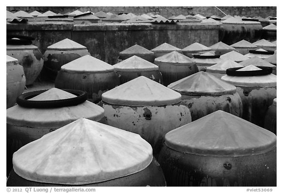 Rows of fish sauce vats. Mui Ne, Vietnam