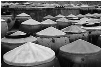 Rows of fish sauce vats. Mui Ne, Vietnam (black and white)