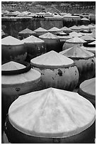 Fish sauch being aged in vats. Mui Ne, Vietnam ( black and white)