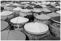 Amphorae of fish sauce. Mui Ne, Vietnam (black and white)