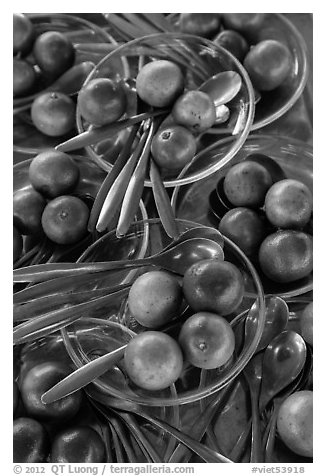 Spoons and fruit, Phoenix Island. My Tho, Vietnam (black and white)