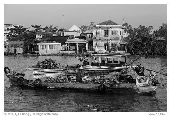 People moving pinapples from boat to boat on river. Can Tho, Vietnam (black and white)