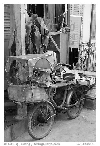 Altar on bicycle. Can Tho, Vietnam (black and white)
