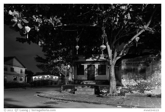 Tree with paper lanterns in Japanese Bridge area at night. Hoi An, Vietnam (black and white)