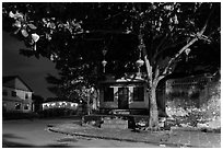 Tree with paper lanterns in Japanese Bridge area at night. Hoi An, Vietnam ( black and white)