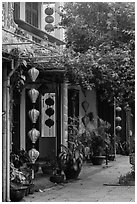 Sidewalk and houses with paper lanterns and lush vegetation. Hoi An, Vietnam (black and white)