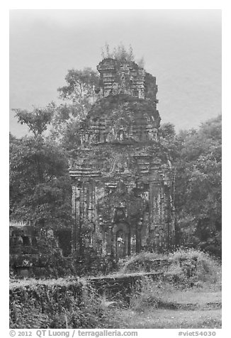 Ruined cham tower in the mist. My Son, Vietnam