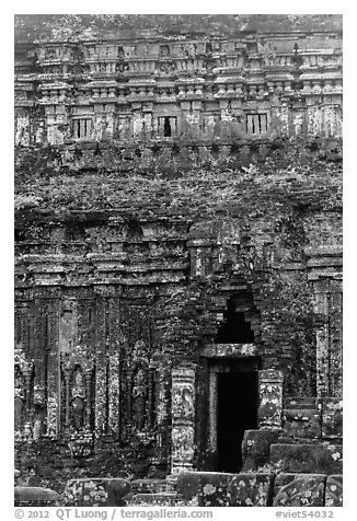 Champa tower taken over by vegetation. My Son, Vietnam