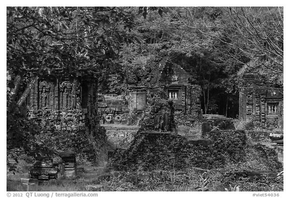 Hindu temple archeological complex. My Son, Vietnam (black and white)