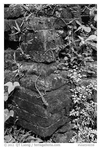Reptile on corner of ruined temple. My Son, Vietnam (black and white)