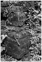 Reptile on corner of ruined temple. My Son, Vietnam ( black and white)