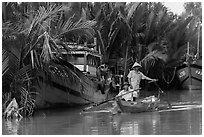 Fishermen row sampan in lush river channel. Hoi An, Vietnam (black and white)